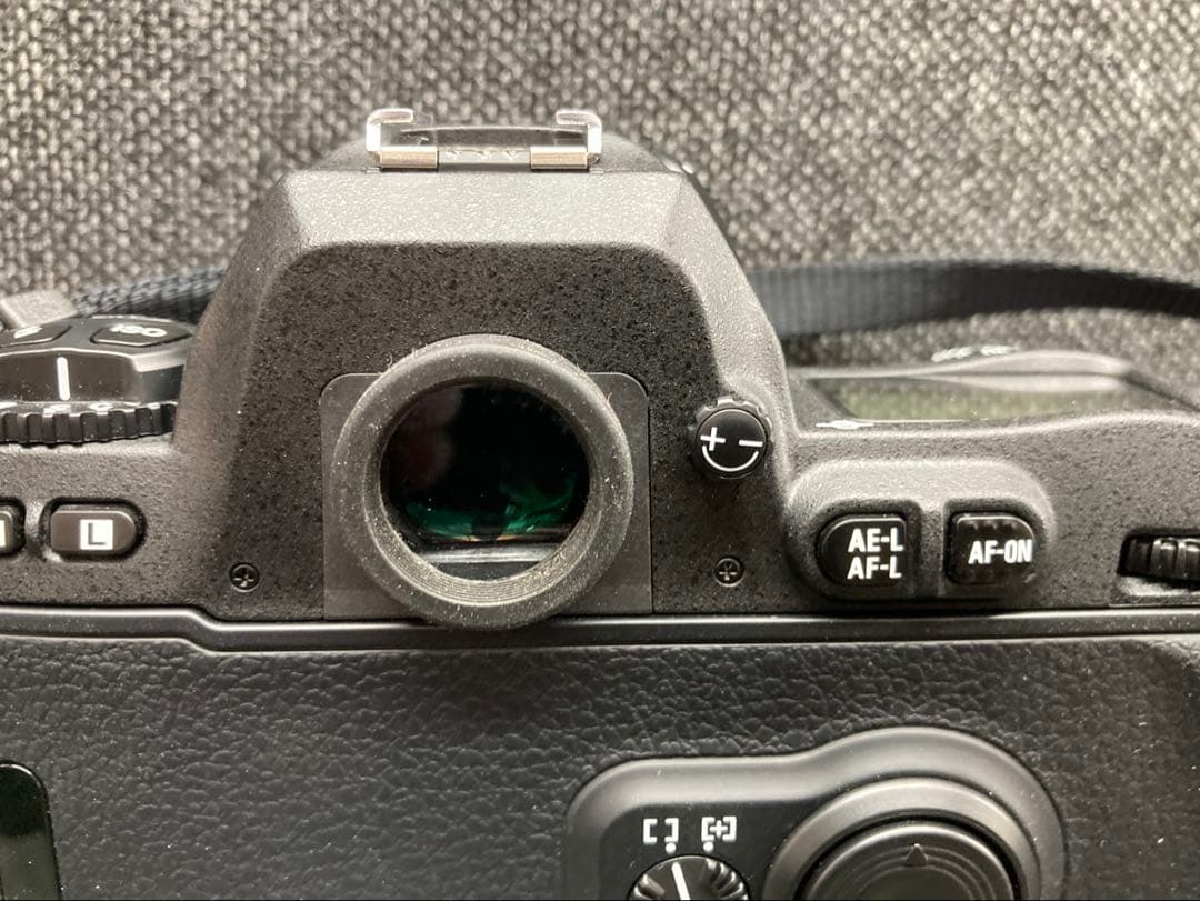 Nikon F100 一眼レフ フィルムカメラ 動作確認済 Fマウント