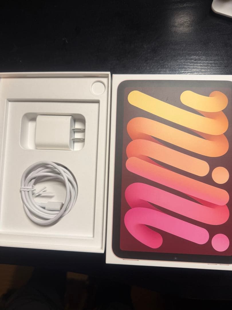 iPad本体 ipad mini 6 256gb