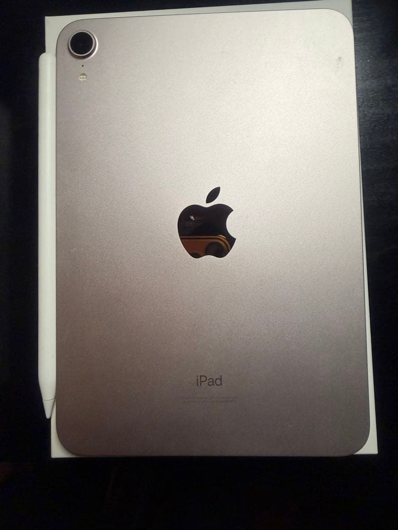 iPad本体 ipad mini 6 256gb
