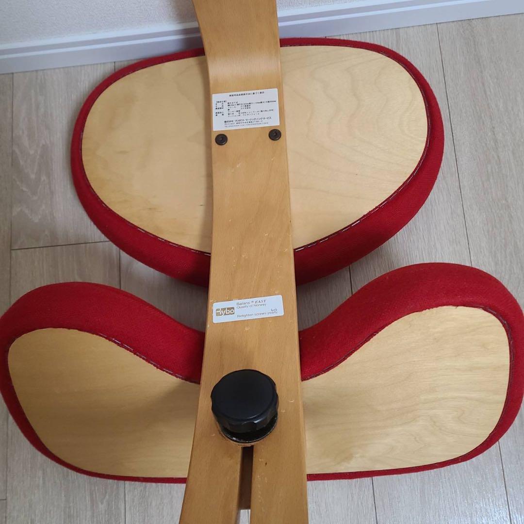 【Rybo】イージーバランス 姿勢矯正 レッド 通常フレーム