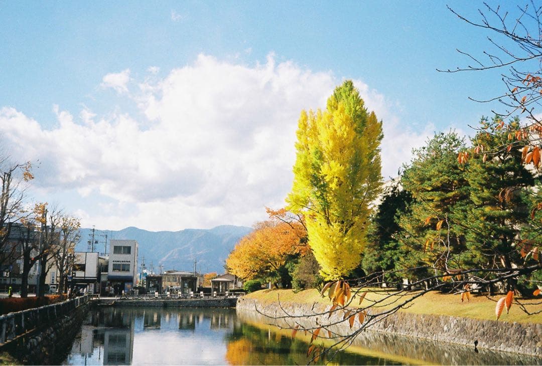 yashia フィルムカメラ