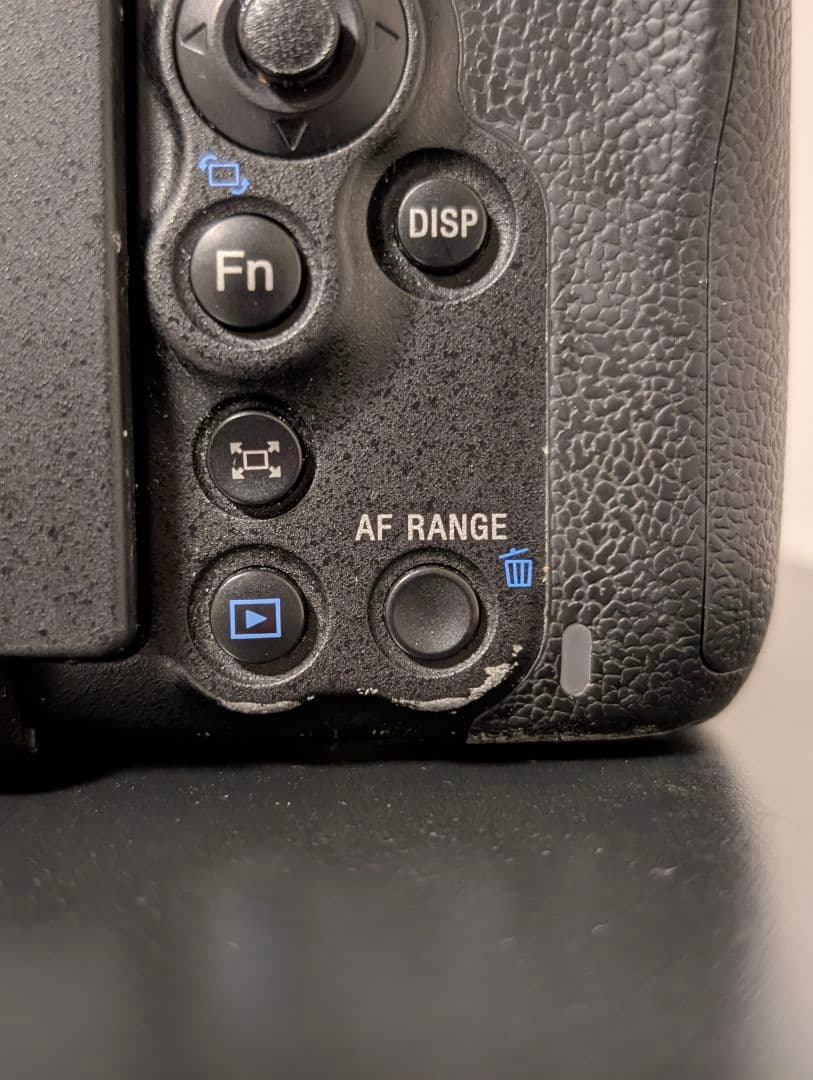 ト*ツ様 Sony α99 デジタル一眼レフカメラ