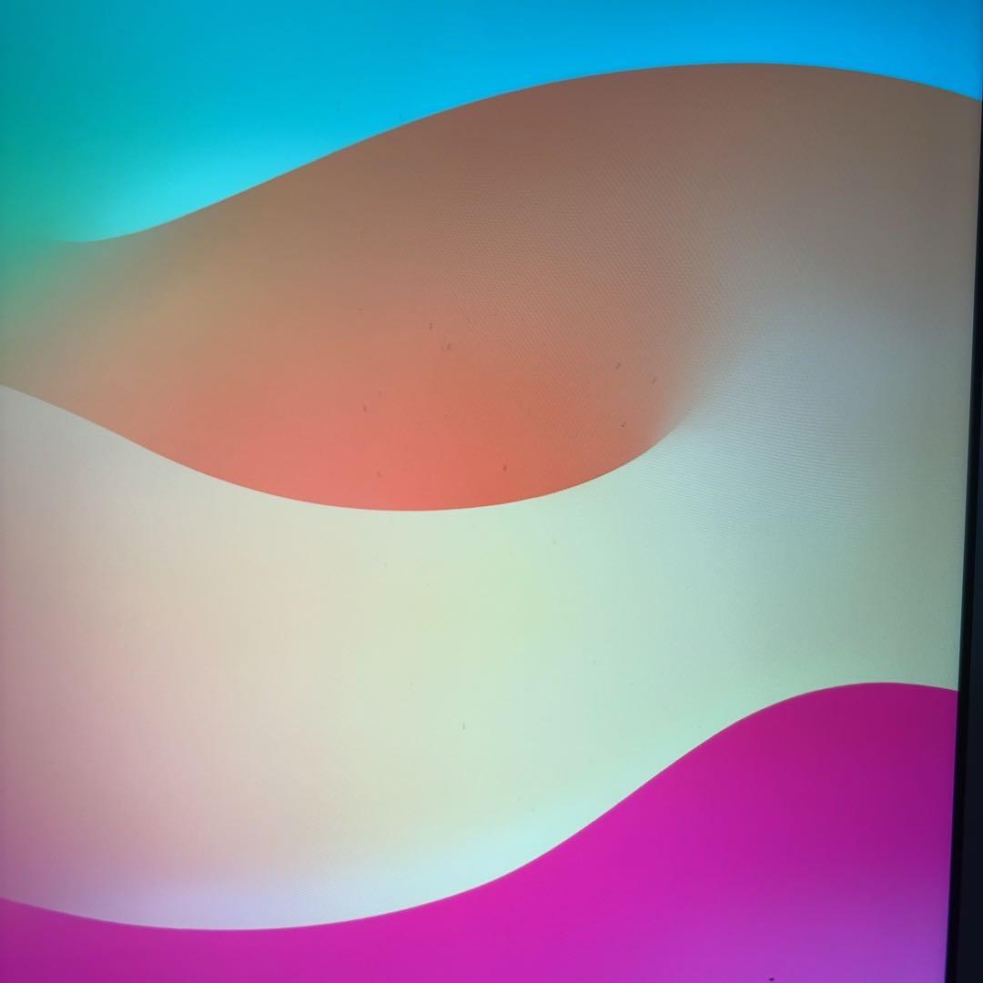 バッテリー良好　早い者勝ち　iPad 第8世代　Cellular 32GB