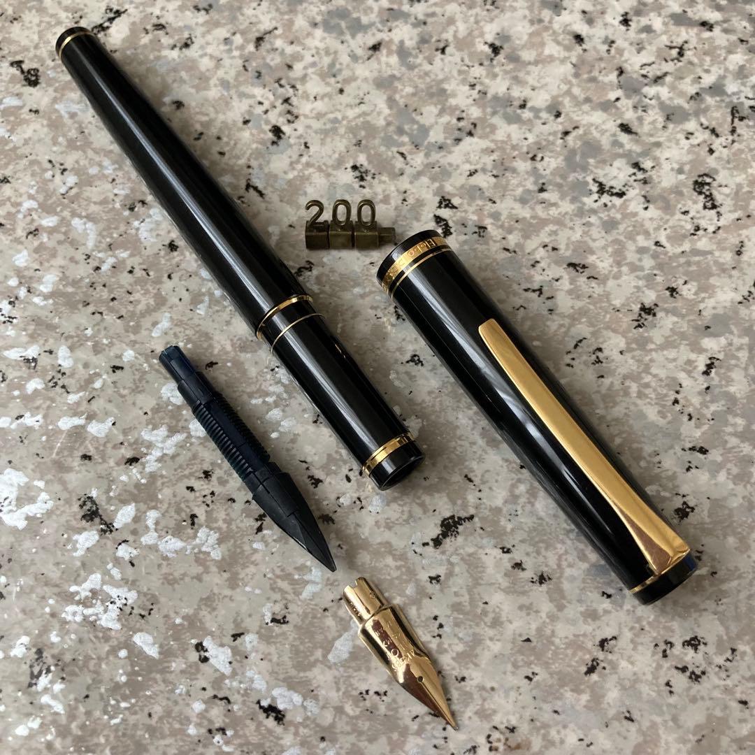 #200 オーバーホール済み 万年筆 パイロット PILOT エラボー 14k