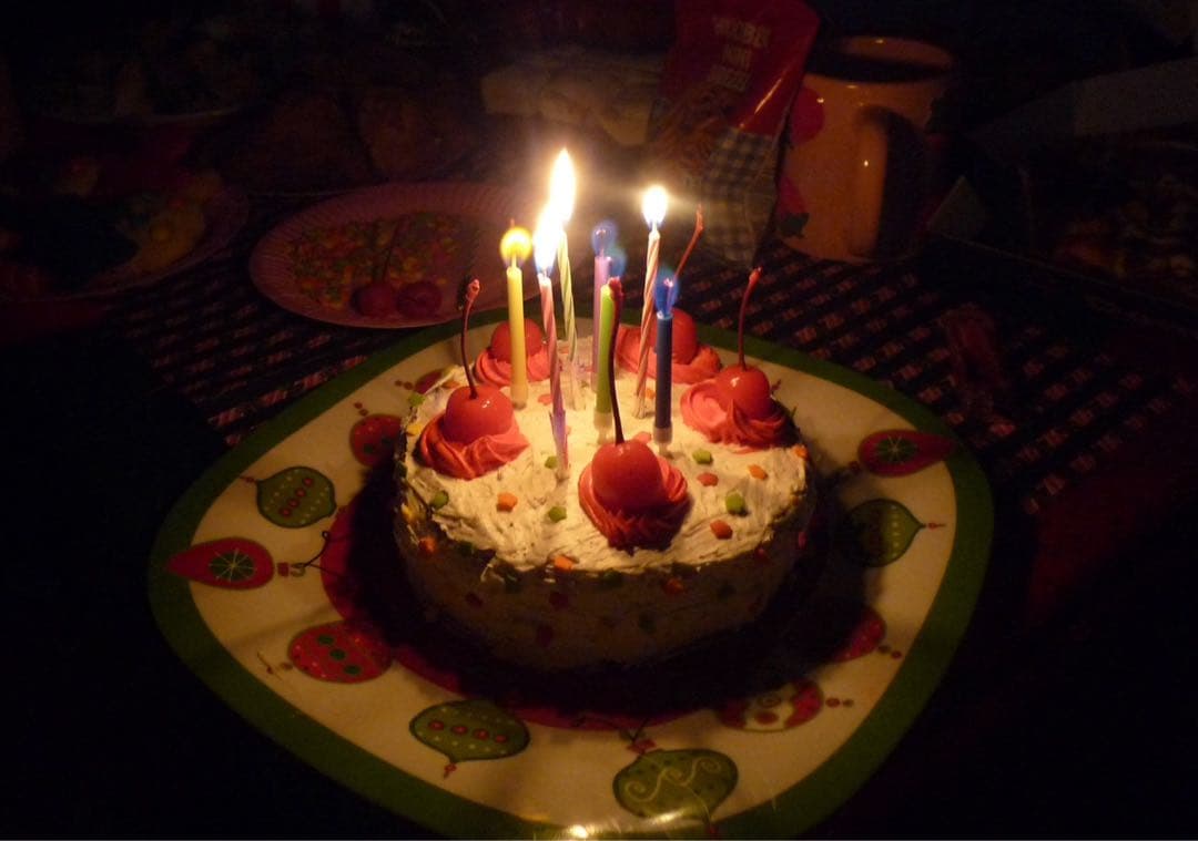 Panasonic DMC-FX60 デジタルカメラ シルバー 動作確認済み