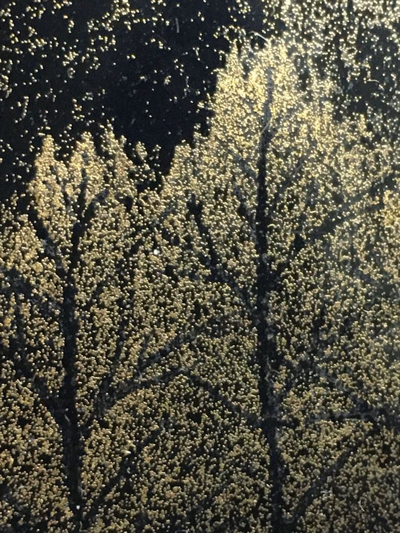 S191輪島塗 漆藝額 陽光 孝一作