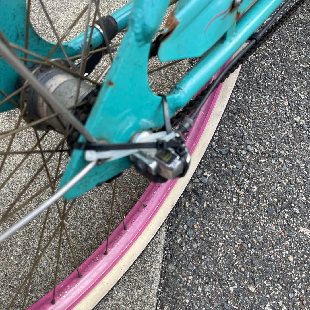 エレクトラ　ビーチクルーザー　蓮の花