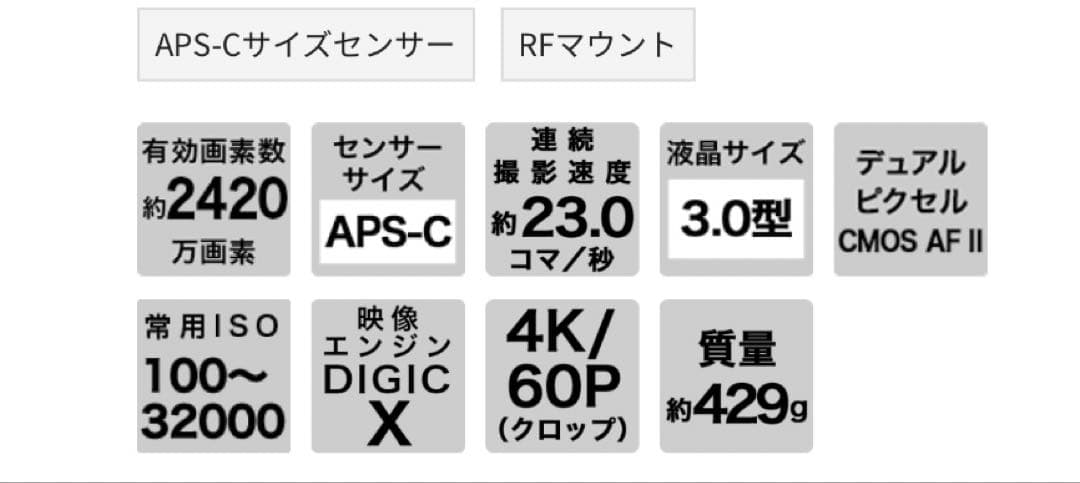 Canon EOS R10 ミラーレス 一眼レフ カメラ