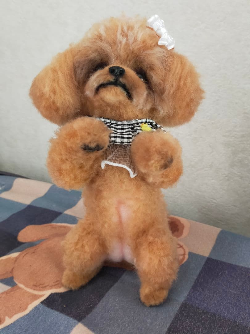 シュリママ♡トイプードルちゃんちょうだいポーズ。直立。おまけ付き♡