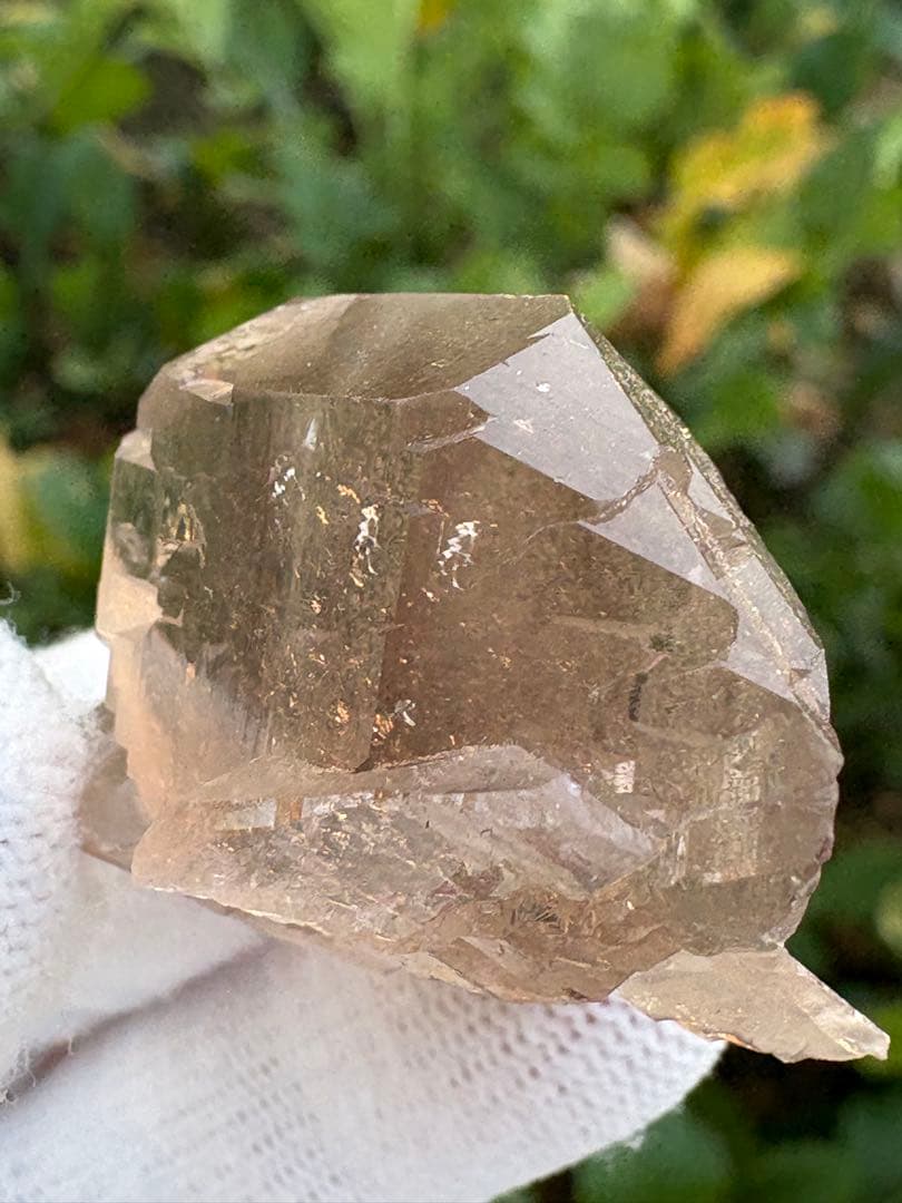 【匿名発送】パキスタン産スモーキーグインデル