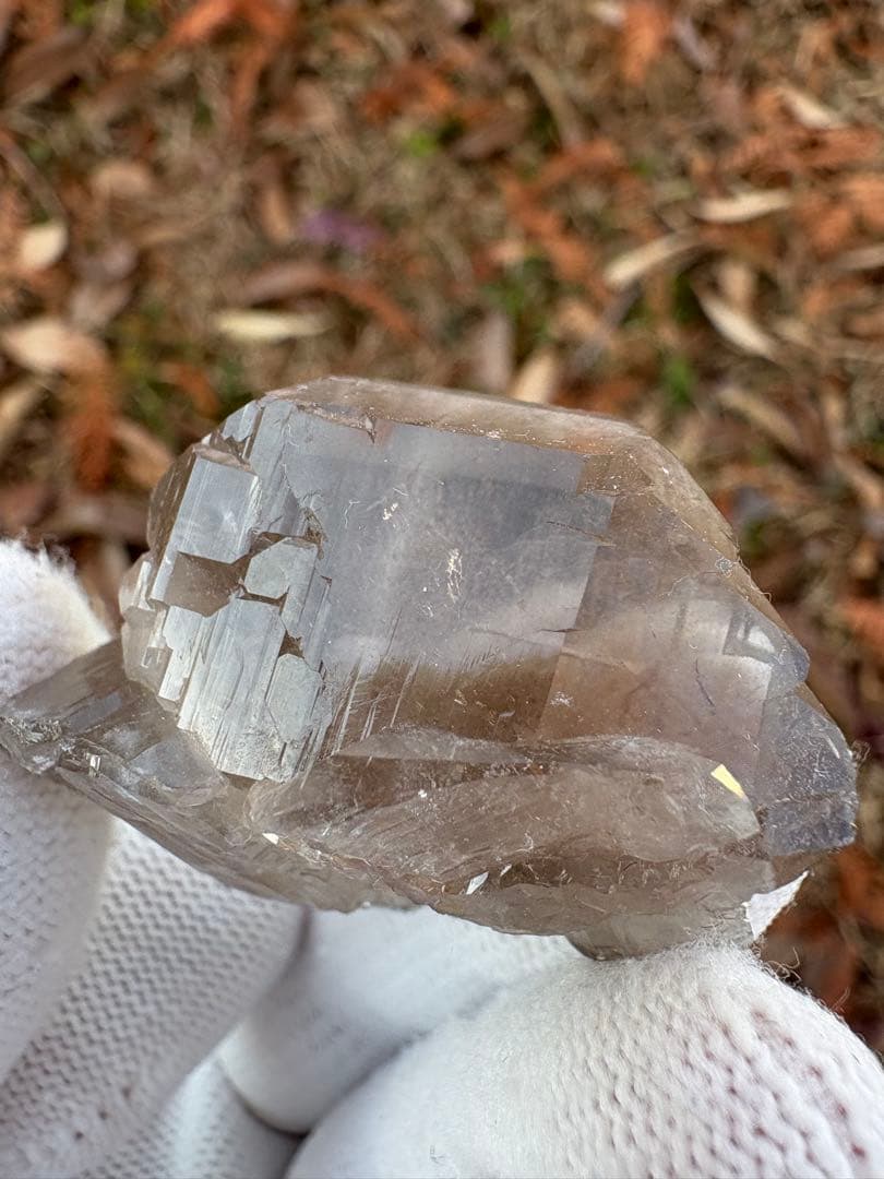 【匿名発送】パキスタン産スモーキーグインデル