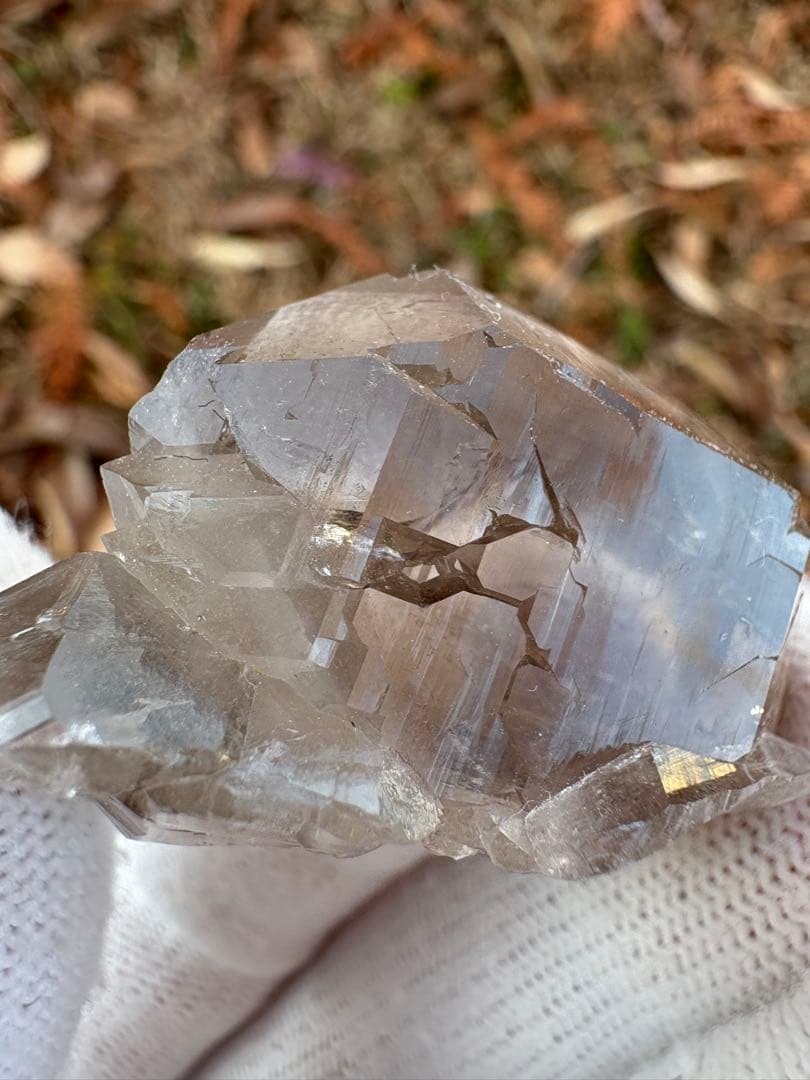 【匿名発送】パキスタン産スモーキーグインデル