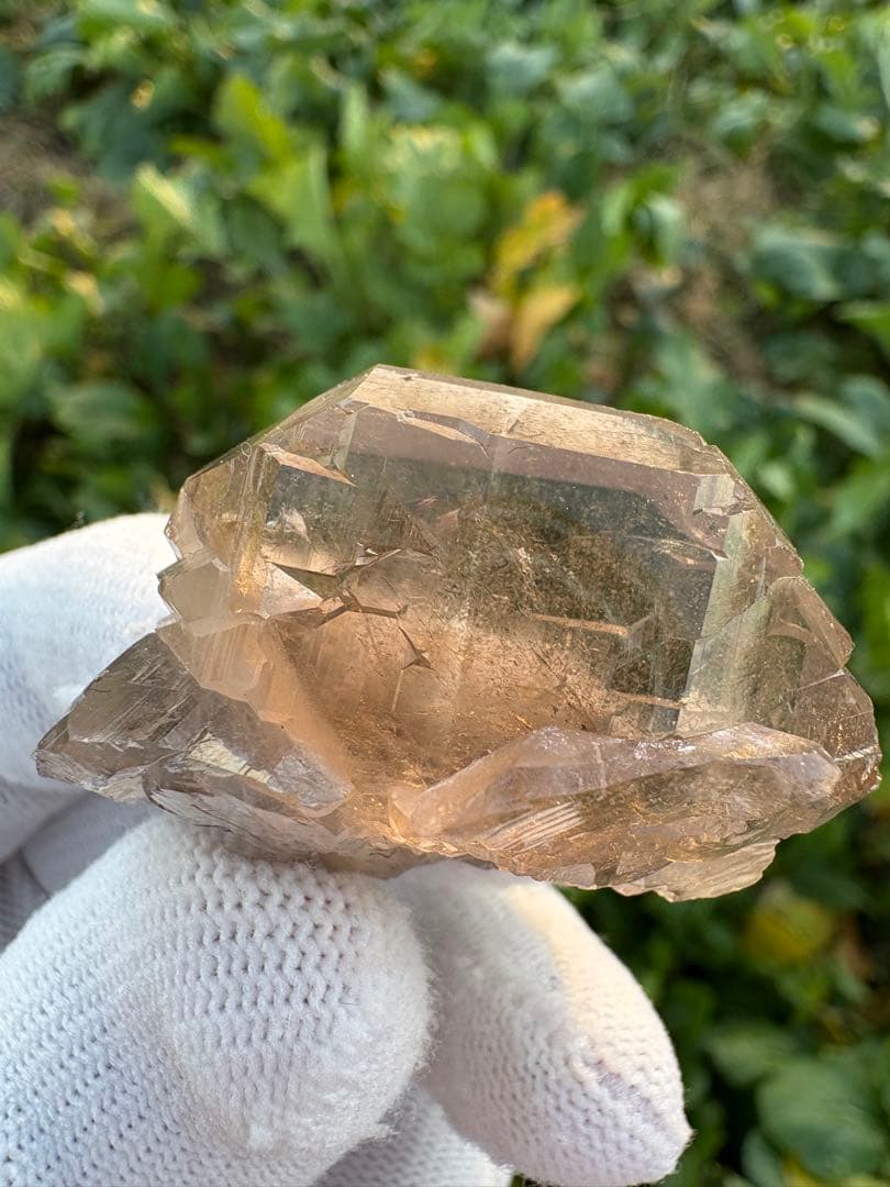 【匿名発送】パキスタン産スモーキーグインデル