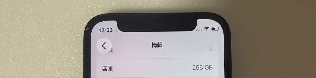 Apple iPhone 12 mini ブラック　256GB 本体