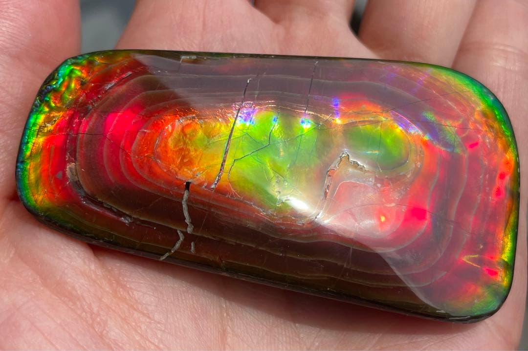 【期間限定セール】アンモライト 天然研磨ルースストーン