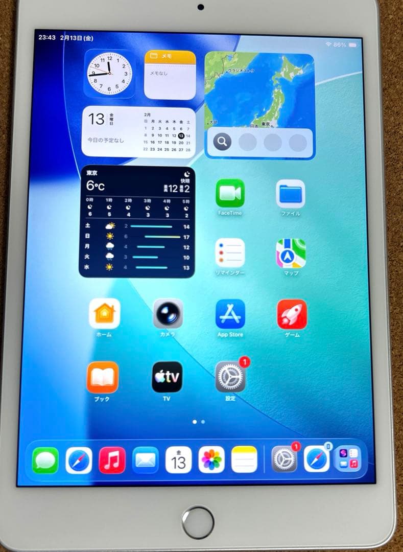 iPad mini5 第5世代 64GB (20) 88%