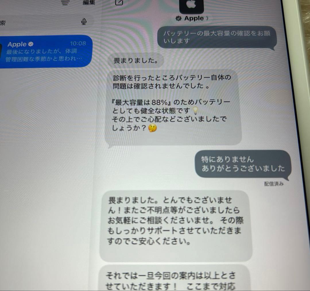 iPad mini5 第5世代 64GB (20) 88%