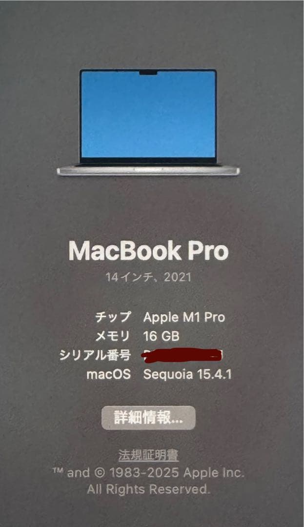 happykidさん専用　MacBook pro M1pro（一部ジャンク）