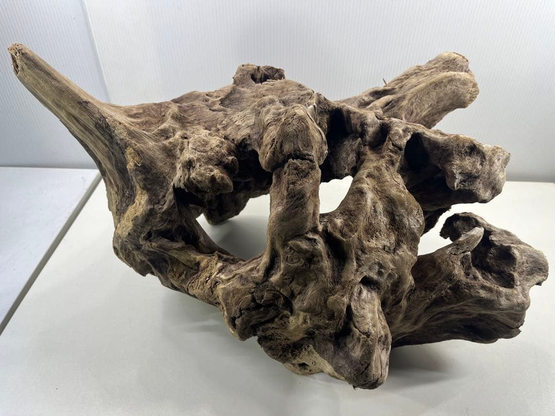 W30大型流木アク抜き済み流木 爬虫類シェルター 登り木 インテリア 生け花