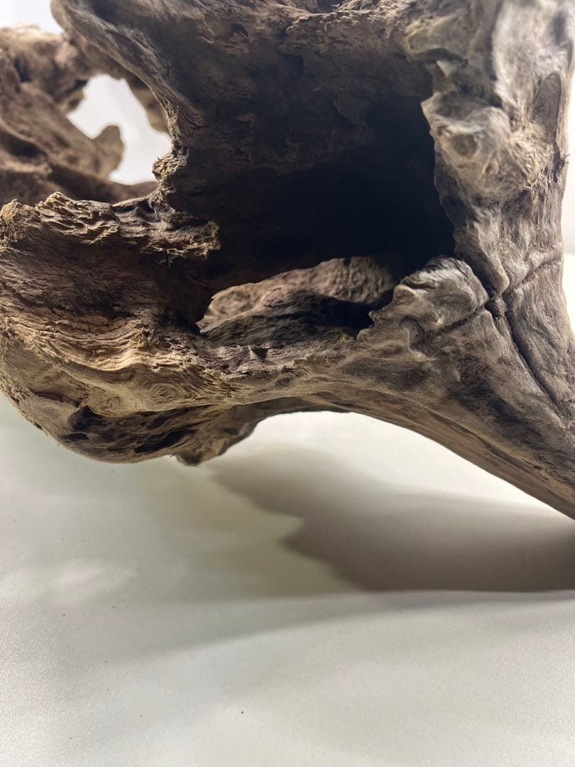 W30大型流木アク抜き済み流木 爬虫類シェルター 登り木 インテリア 生け花