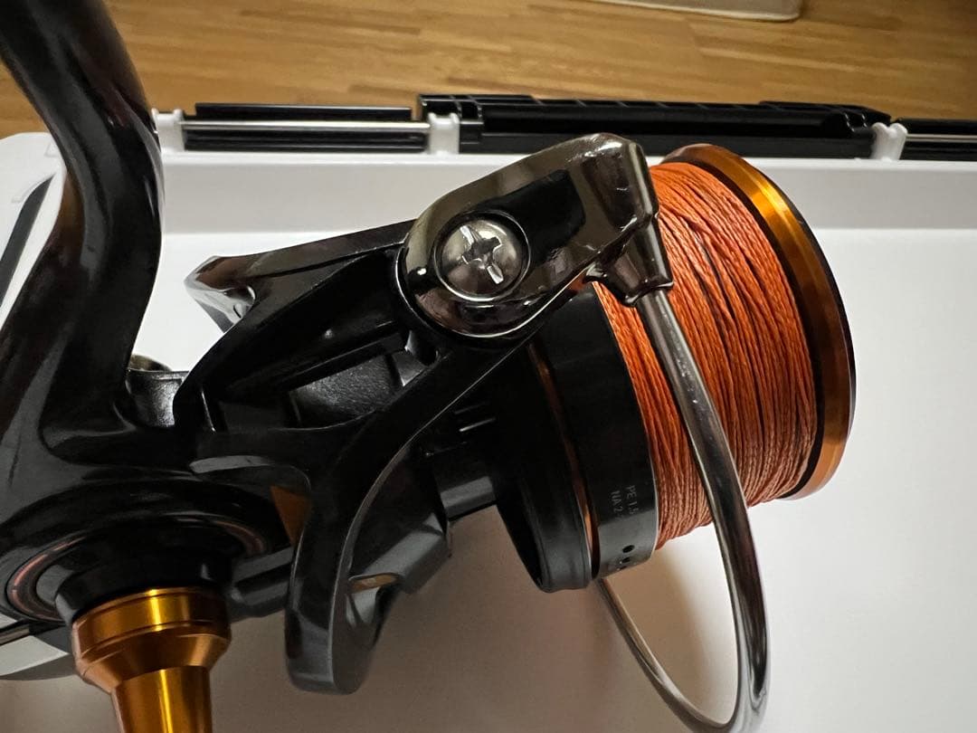 キャスティズム15pe