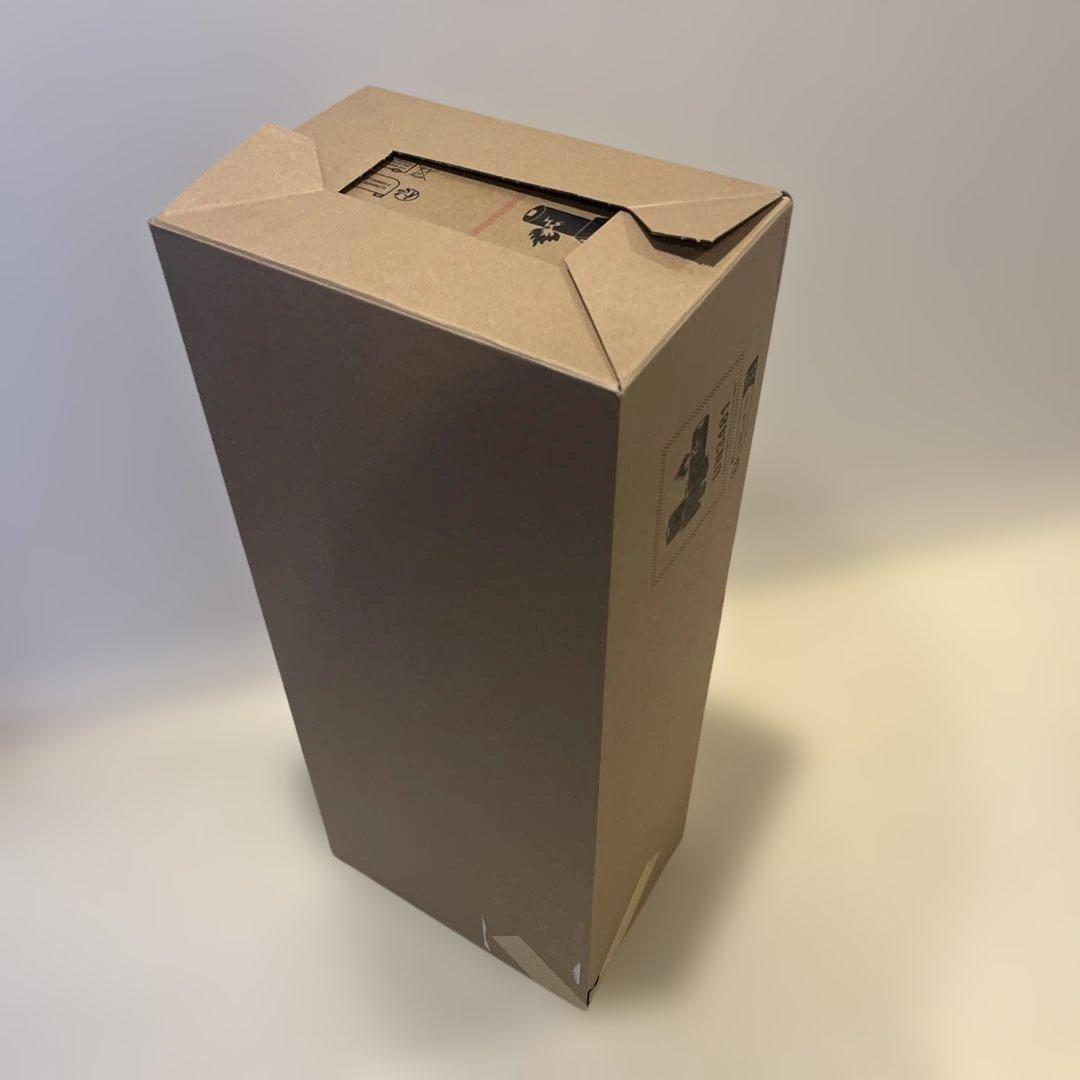 未使用　ダイソンDyson WashG1 水拭き掃除機