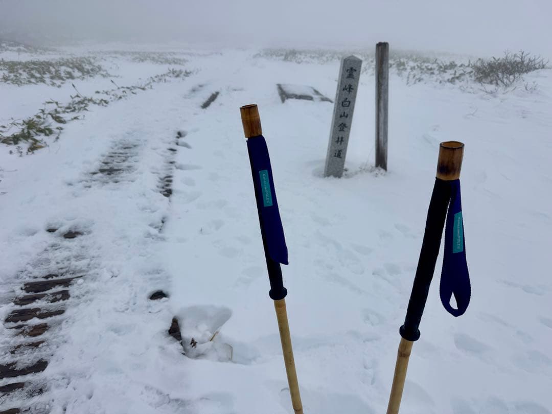 hiroさま専用　KanazawaPOLES 30cmグリップパープル