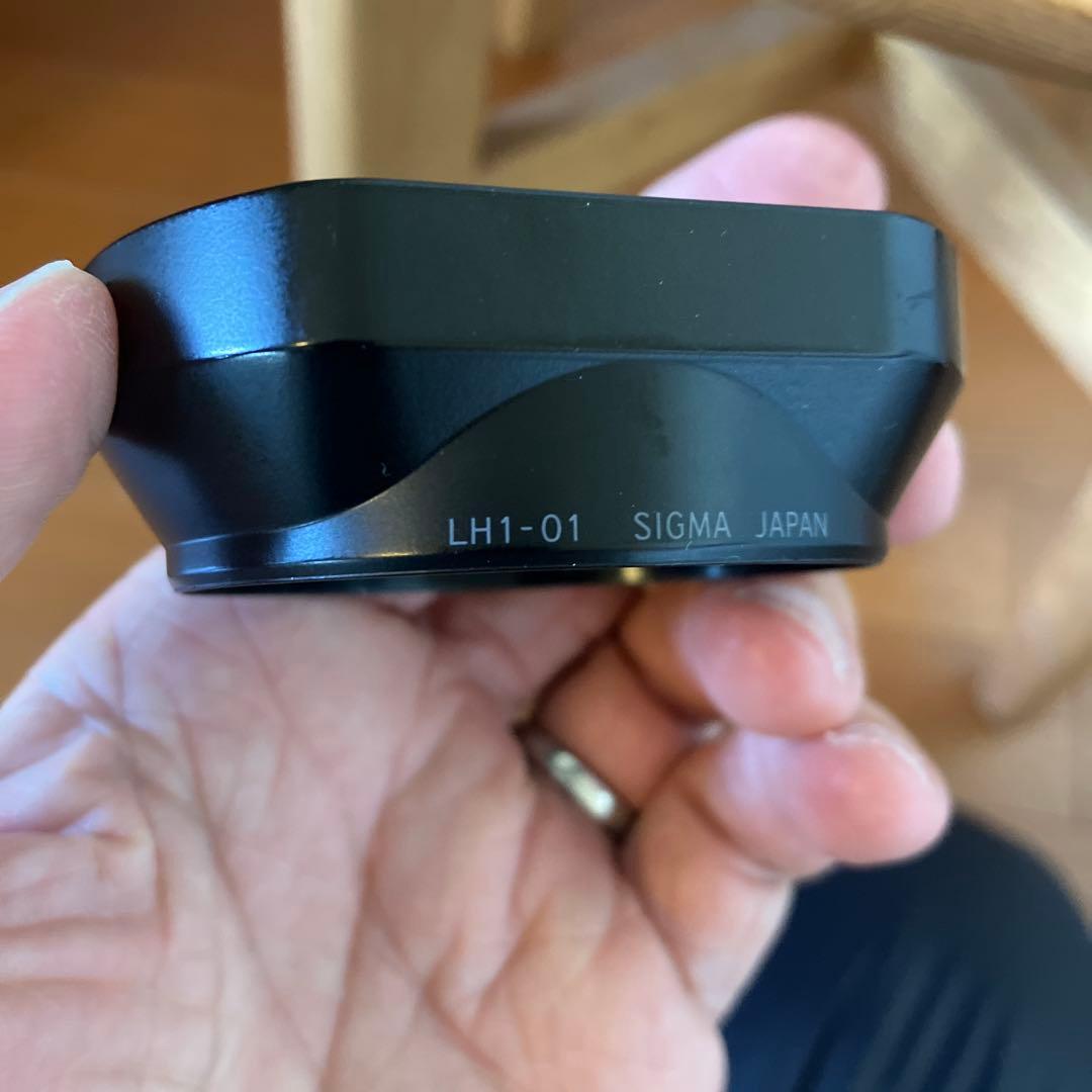 Foveonセンサー最高画質 即戦力付属品完備SIGMA DP1 Merrill