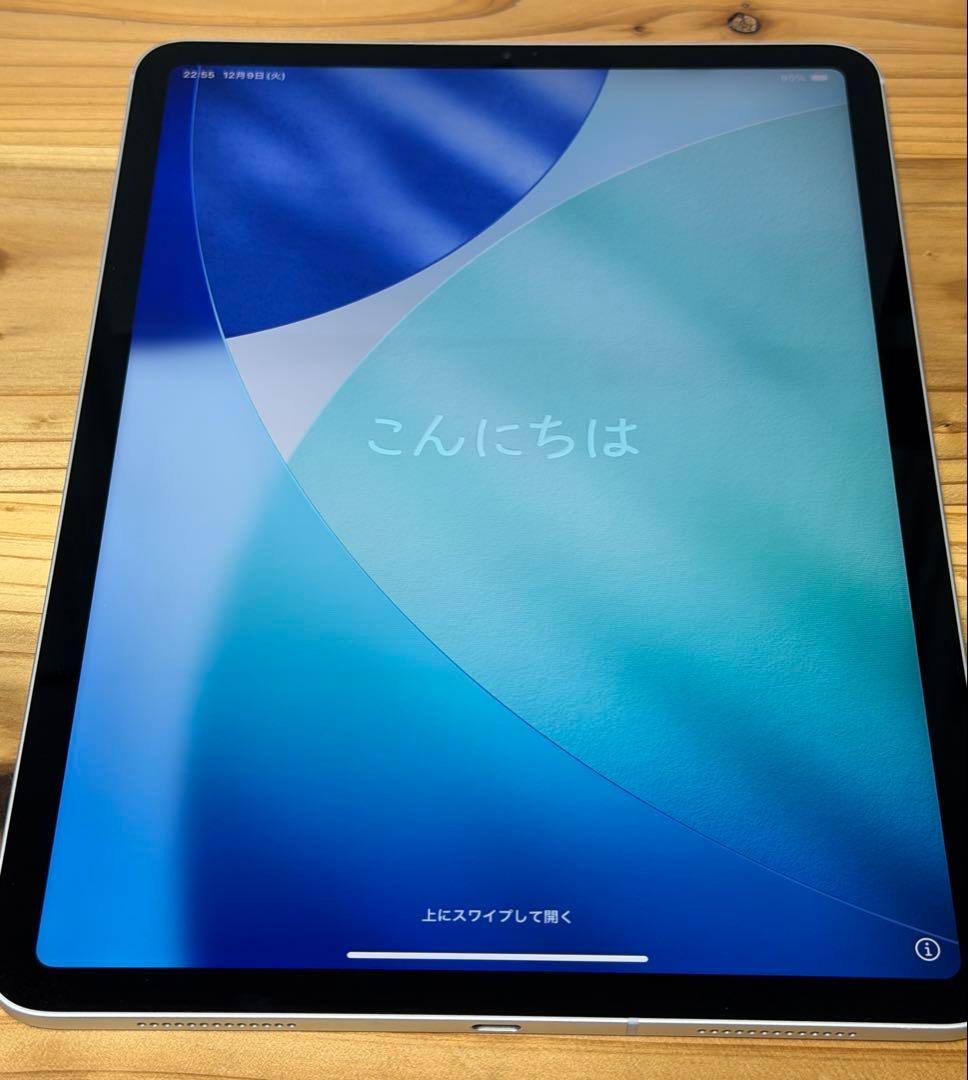 iPad Pro 第一世代 256GB Wi-Fi+Cellular シルバー