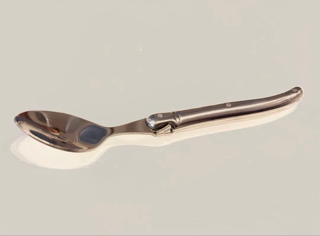 Laguiole elite カトラリーセット24本入シルバー　刻印入り5セット