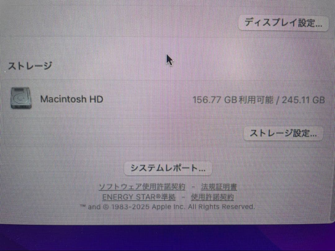 Apple M4 Mac mini 16GB メモリ/ 256GB SSD