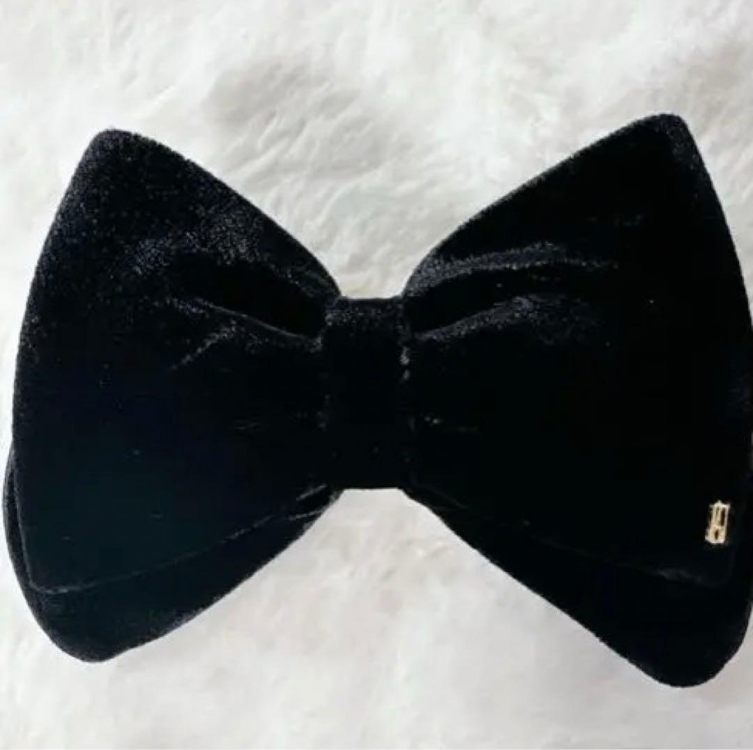 アレクサンドルドゥパリ　バレッタ　ベロア　リボン　ブラック
