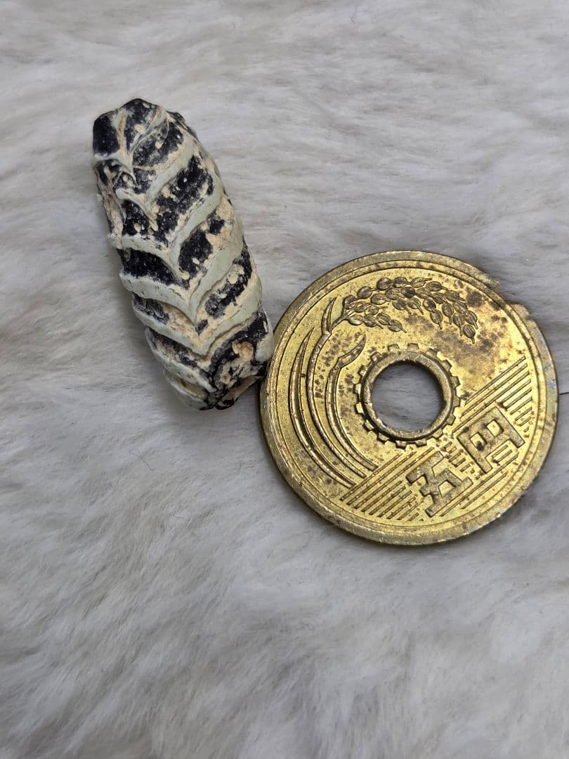 020蜻蛉玉　古いフェザー　黒と白のストライプ模様　！