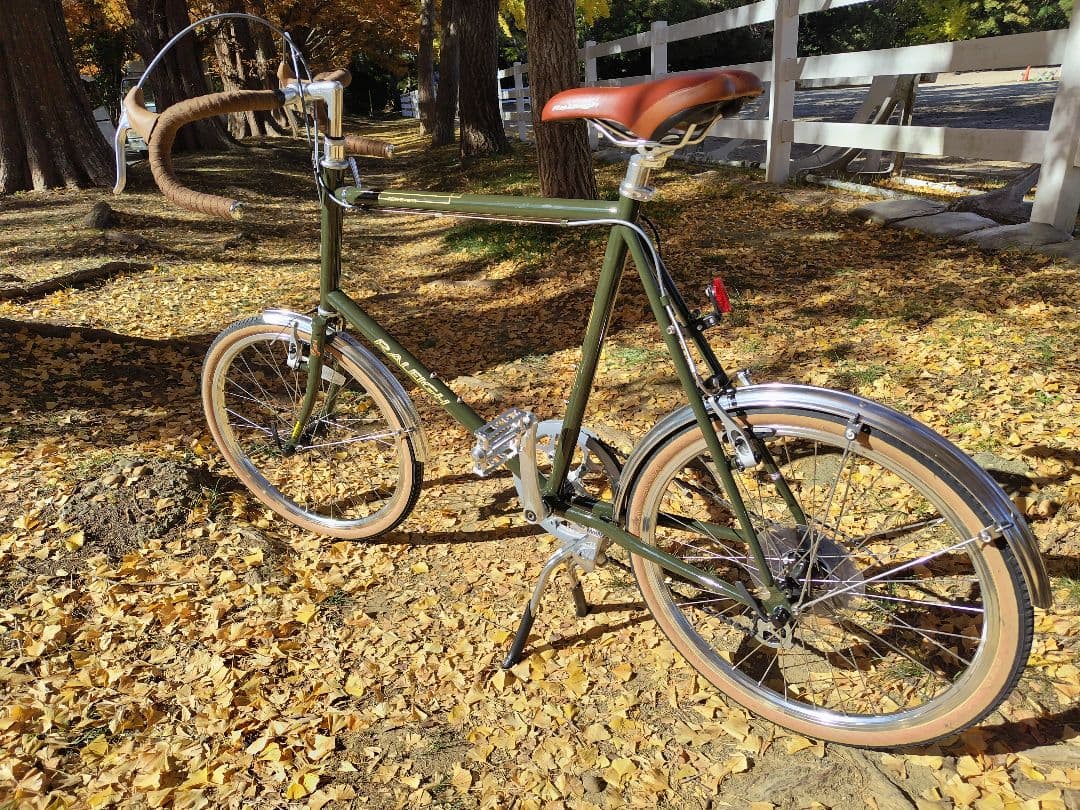 RALEIGH ラレー RSS RSW SPORT RSWカスタム
