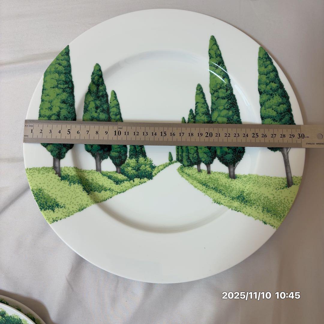 TAITU ディナープレートセットペア（イタリアブランド）