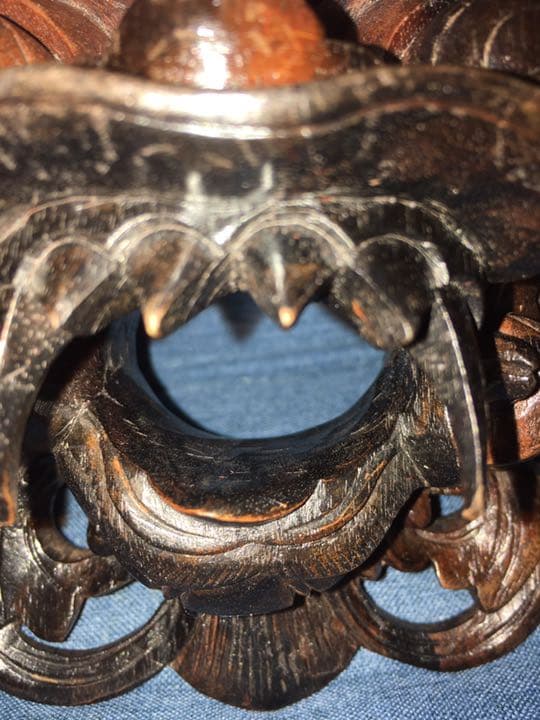 コウモリ　蝙蝠