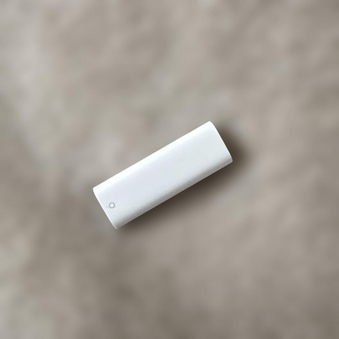 Apple Pencil 第1世代 純正ケース+C充電変換付セット