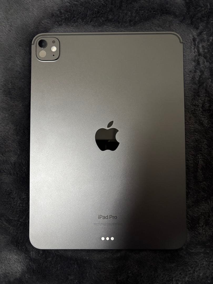 【美品】iPad Pro 11インチ 第7世代 M4 256GB