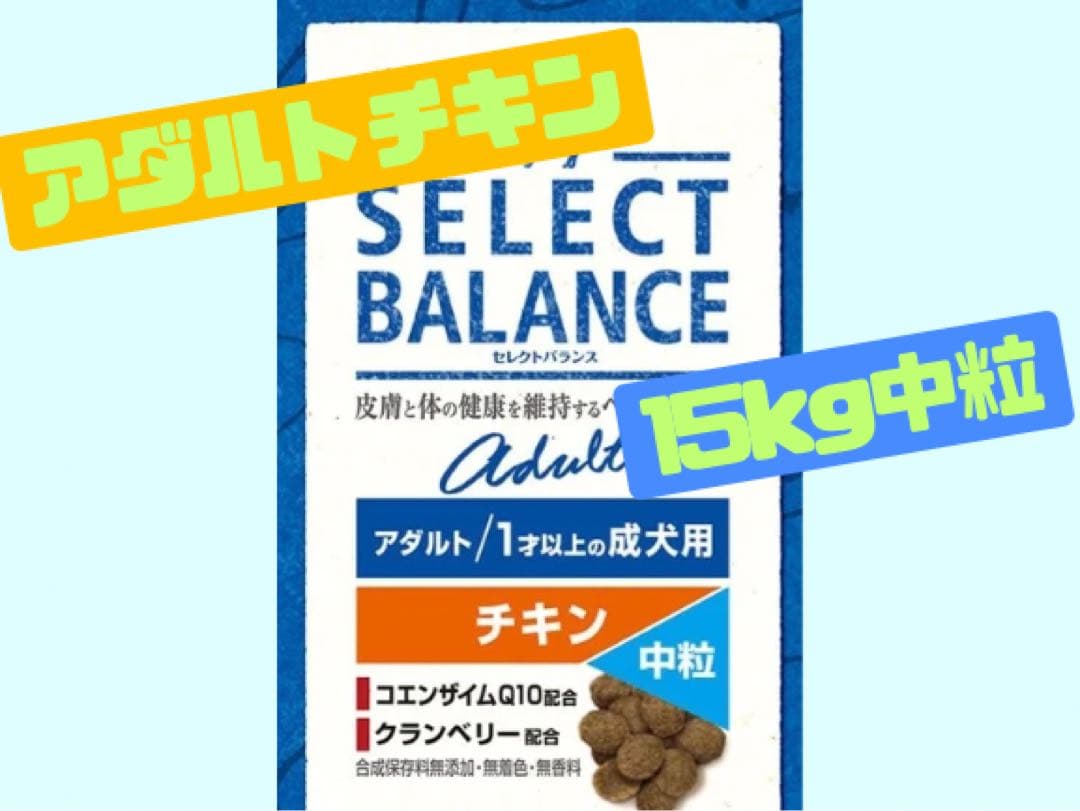 チャミナー