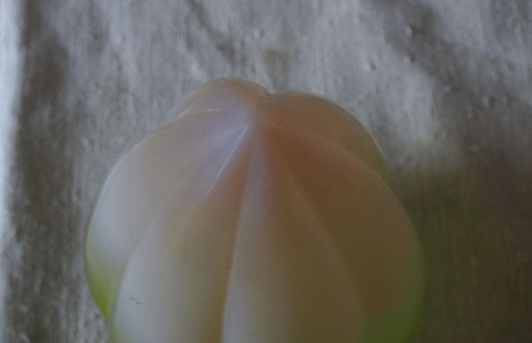 緑とピンクのグラデーション 磨りガラス ランプシェード電笠 高17cm/K407