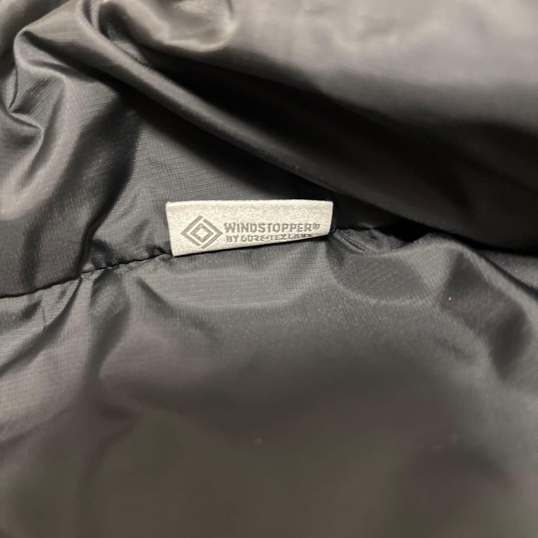 THE NORTH FACE GTX Nuptse Jacket(ヌプシ)