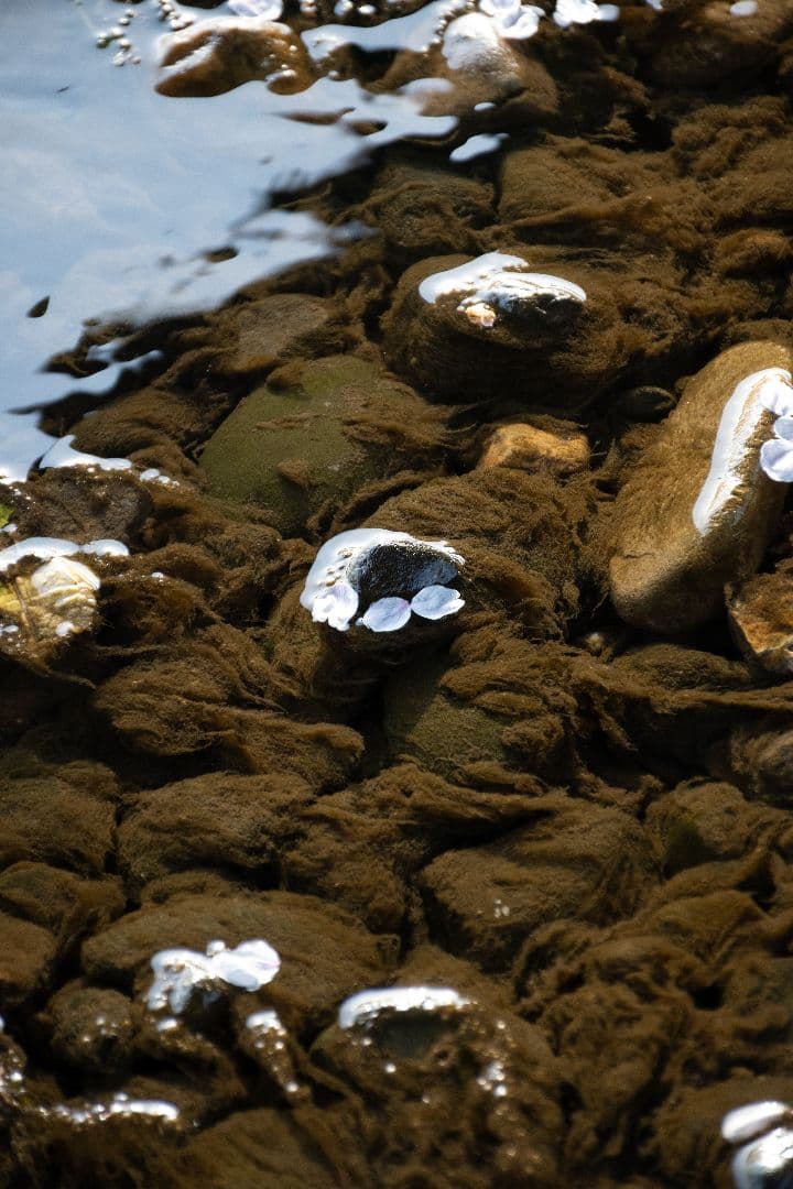 【美品】Nikon 18-140mm f/3.5-5.6G ED VR