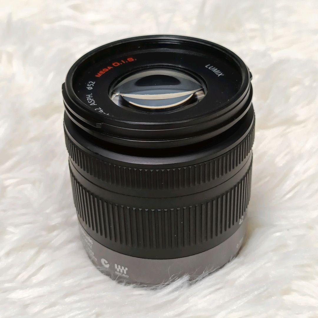 【人気カラー】Panasonic LUMIX GF2 ミラーレスカメラ