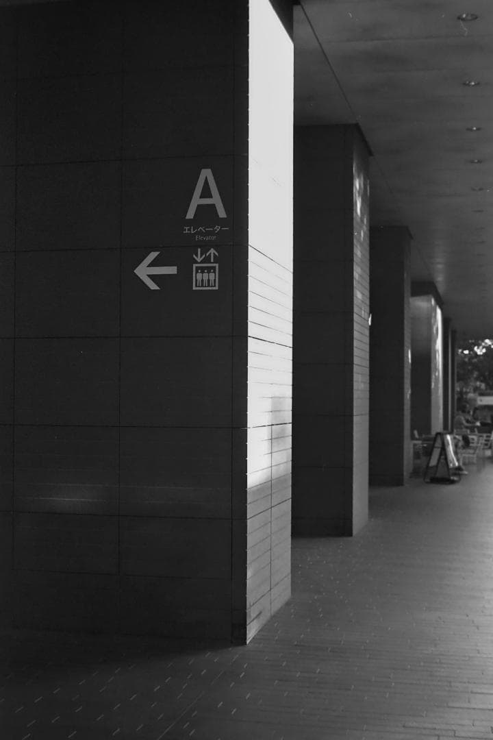 最後のバルナックライカ！Leica Ⅲg オールドカメラ