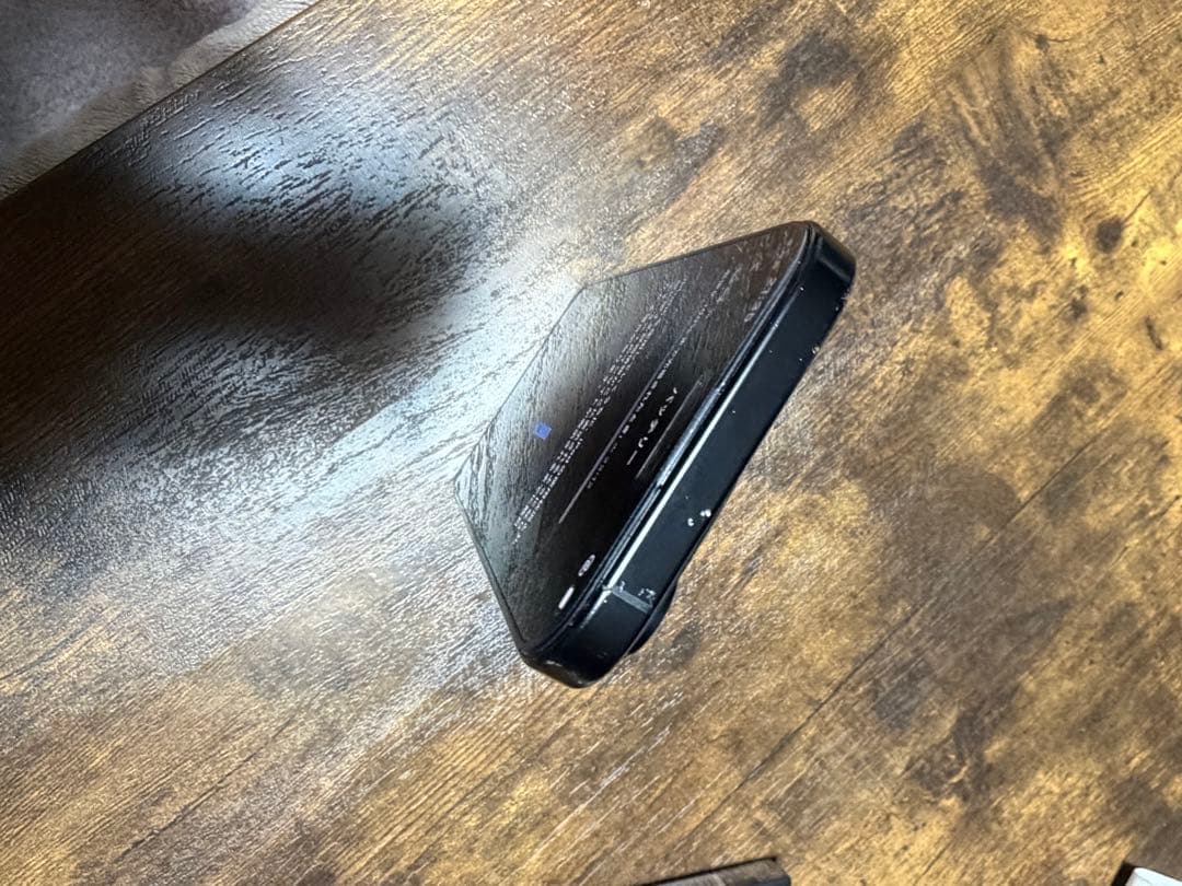 Apple iPhone 16 Pro スペースブラック ケース付き