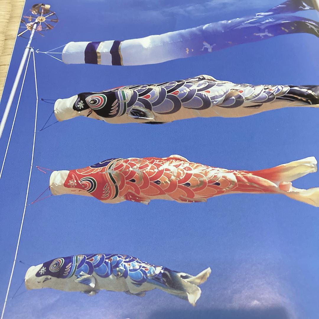 SKO75 鯉のぼり単品３m　 黒鯉　 単品鯉のぼり３m 　お父さん鯉　黒