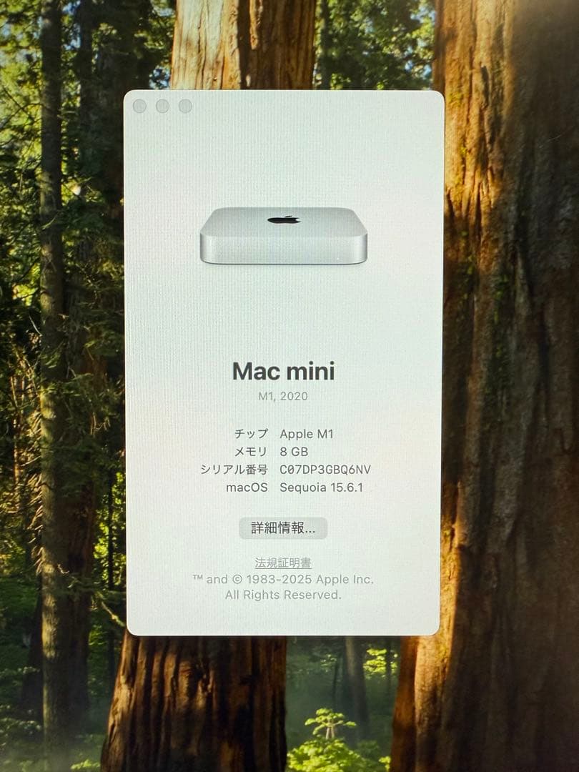 Mac mini 2020（M1） メモリー8GB ストレージ256GB