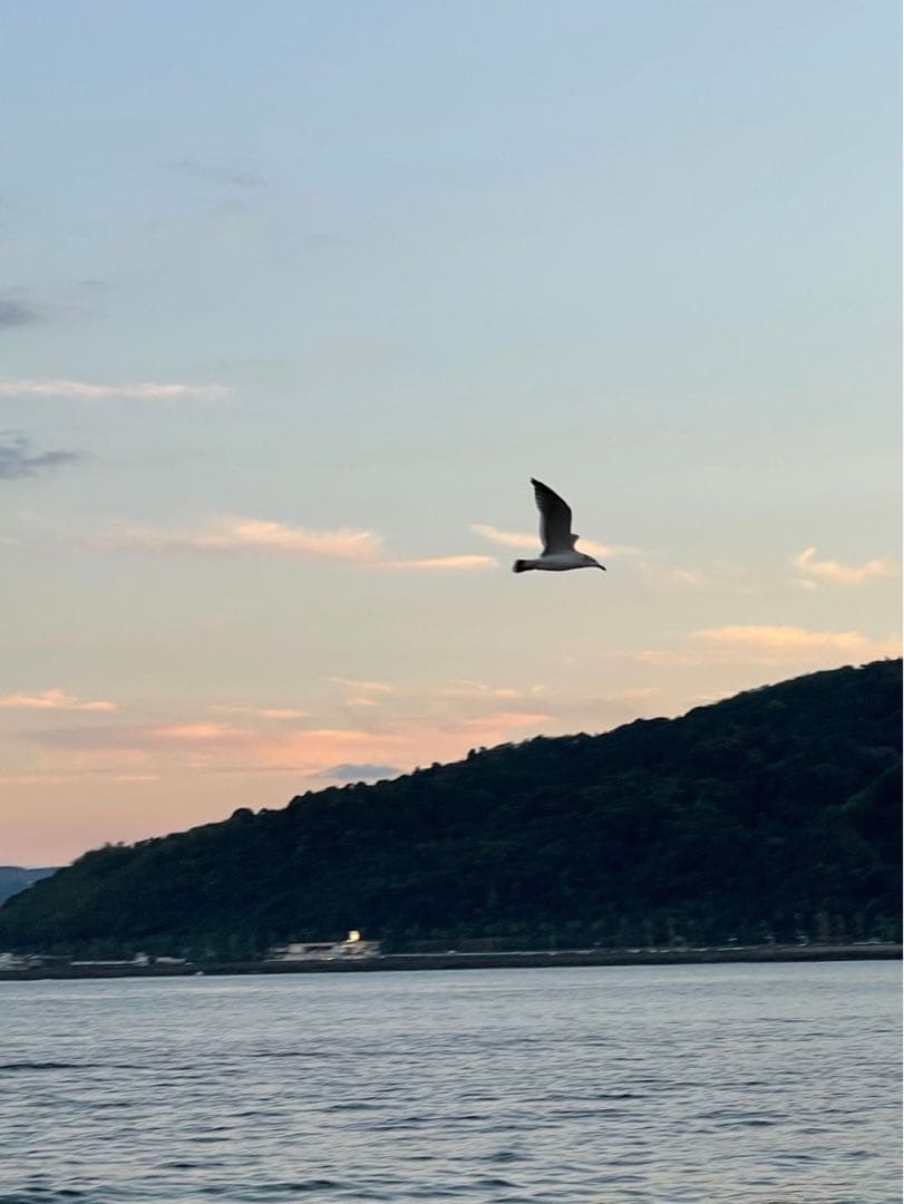 限定価格❣️超特大‼️神聖幾何学 フラーレンマスター大 18mm玉★