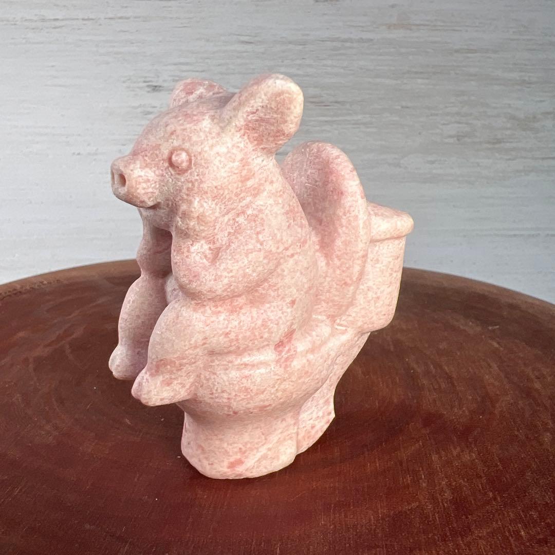 ❣️❣️❣️Aceth❤❤❤値引き不可様　シラーのかわいい亀　キャッツアイ　オレンジ