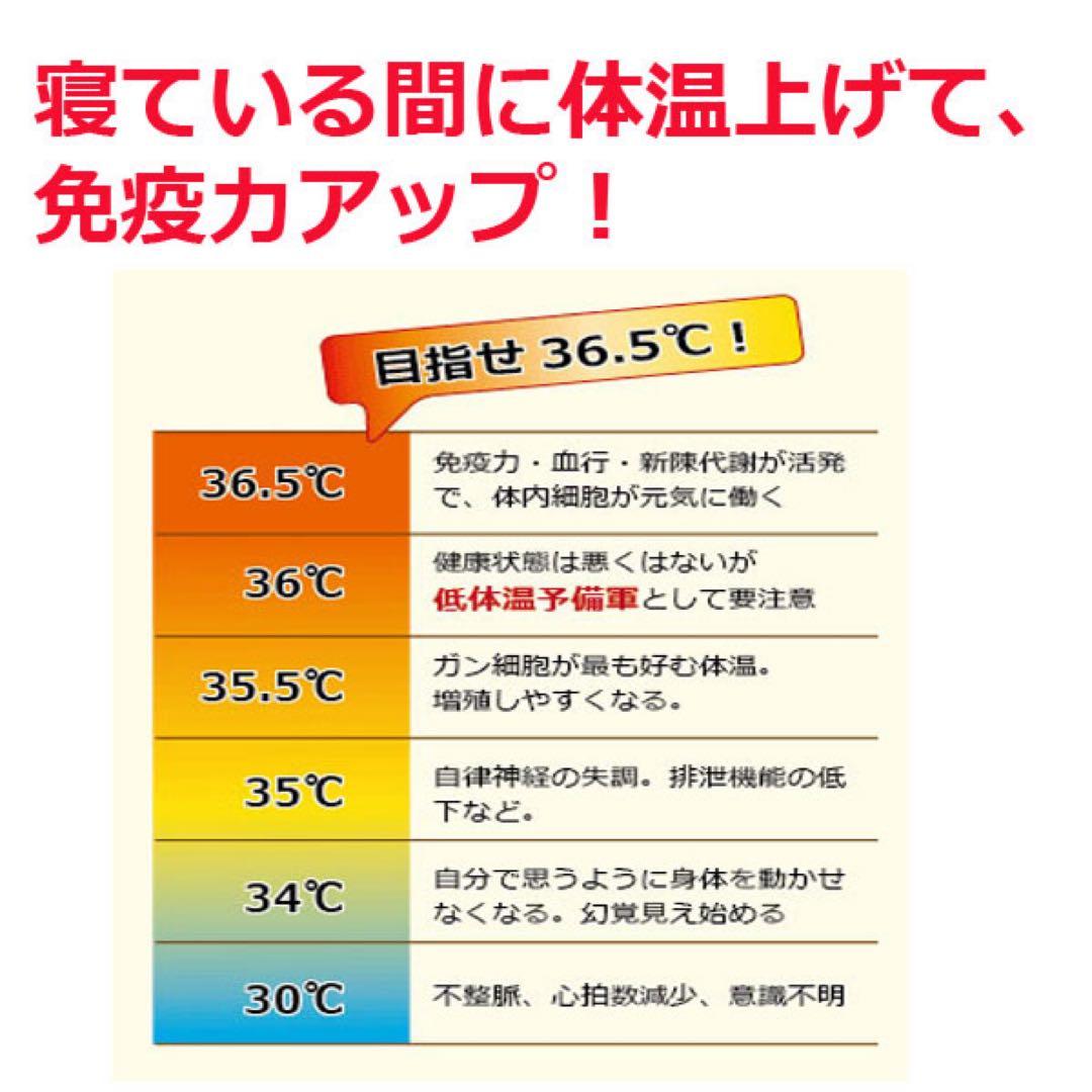 【断捨離】ホルミシス敷きパッド「アンジェリカ」2枚